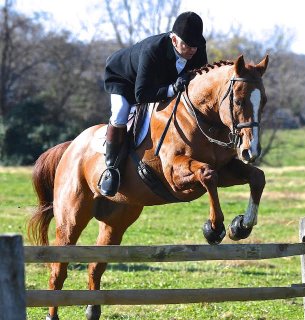 Lees_openingmeet126th_002.jpg