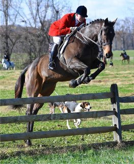 Lees_openingmeet126th_010.jpg