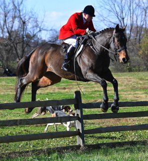 Lees_openingmeet126th_011.jpg