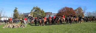 GSV125th_CarolFenwick-1.jpg