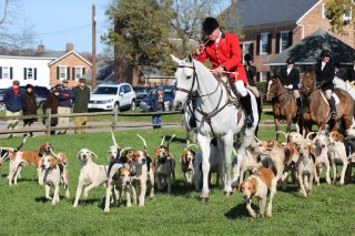 GSV125th_CarolFenwick-14.jpg