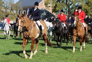 GSV125th_CarolFenwick-15.jpg