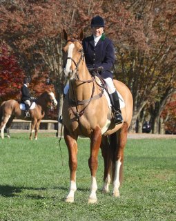 GSV125th_CarolFenwick-6.jpg