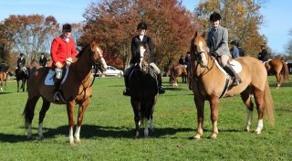GSV125th_CarolFenwick-9.jpg