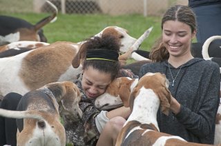 OldfieldsGirls_GSVHounds2017_01.jpg