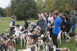 OldfieldsGirls_GSVHounds2017_02.jpg