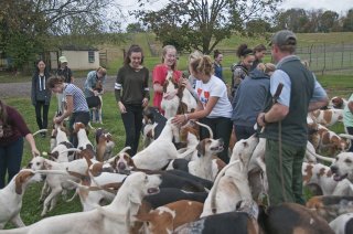 OldfieldsGirls_GSVHounds2017_04.jpg