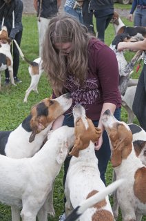 OldfieldsGirls_GSVHounds2017_06.jpg