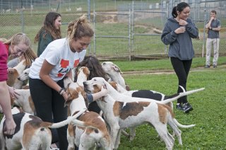 OldfieldsGirls_GSVHounds2017_09.jpg