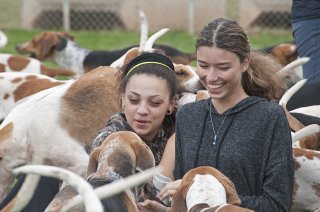 OldfieldsGirls_GSVHounds2017_14.jpg