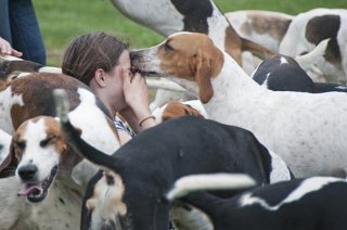 OldfieldsGirls_GSVHounds2017_16.jpg