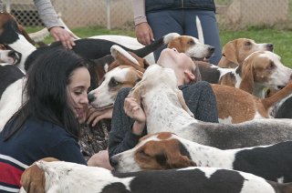 OldfieldsGirls_GSVHounds2017_17.jpg
