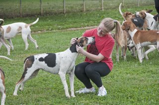 OldfieldsGirls_GSVHounds2017_18.jpg