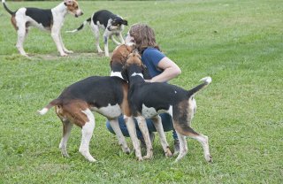 OldfieldsGirls_GSVHounds2017_19.jpg