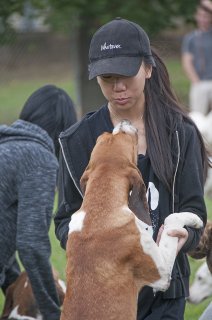OldfieldsGirls_GSVHounds2017_23.jpg