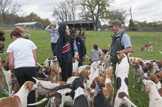 OldfieldsGirls_GSVHounds2017_26.jpg