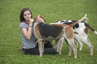 OldfieldsGirls_GSVHounds2017_32.jpg