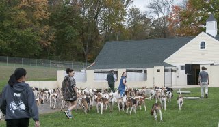 OldfieldsGirls_GSVHounds2017_35.jpg