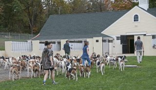 OldfieldsGirls_GSVHounds2017_36.jpg