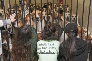 OldfieldsGirls_GSVHounds2017_38.jpg