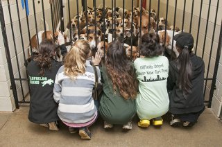 OldfieldsGirls_GSVHounds2017_39.jpg