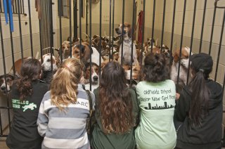 OldfieldsGirls_GSVHounds2017_40.jpg