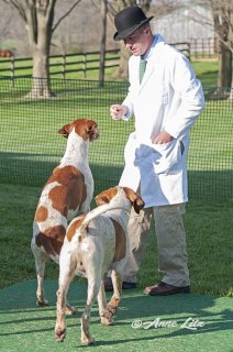 GSV_Puppyshow18_001.jpg