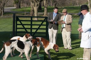 GSV_Puppyshow18_007.jpg