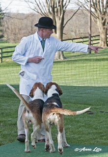 GSV_Puppyshow18_020.jpg