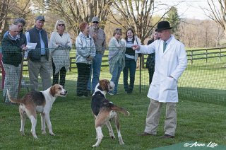 GSV_Puppyshow18_021.jpg