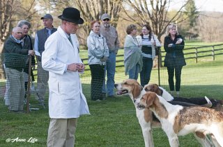 GSV_Puppyshow18_022.jpg