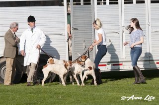 GSV_Puppyshow18_025.jpg