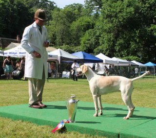 VahoundShow2019Kandra15.jpg