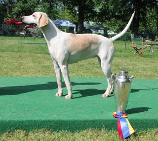 VahoundShow2019Kandra16.jpg