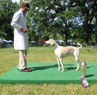 VahoundShow2019Kandra17.jpg
