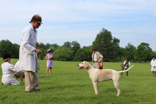 VahoundShow2019Kandra7.jpg
