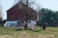 GSVThanksgiving2015_011.jpg