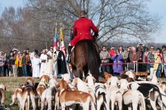 GSVThanksgiving2015_020.jpg