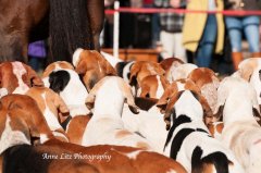 GSVThanksgiving2015_022.jpg