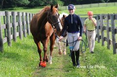 ALPonyCamp2015006_Web.jpg