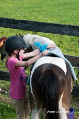 ALPonyCamp2015007_Web.jpg