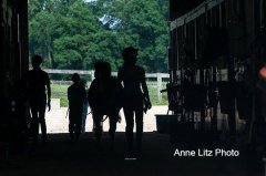 ALPonyCamp2015017_Web.jpg