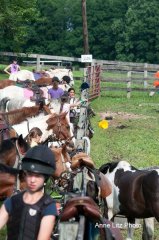 ALPonyCamp2015018_Web.jpg