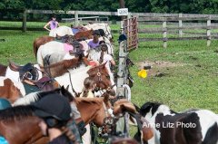 ALPonyCamp2015019_Web.jpg