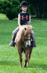 ALPonyCamp2015027_Web.jpg