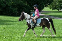 ALPonyCamp2015037_Web.jpg