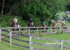ALPonyCamp2015040_Web.jpg