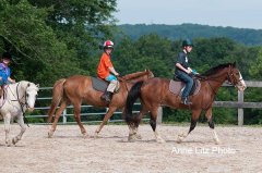 ALPonyCamp2015048_Web.jpg