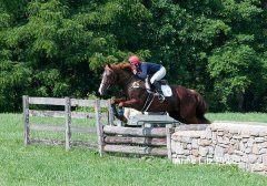 ALPonyCamp2015061_Web.jpg