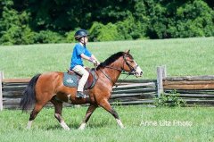 ALPonyCamp2015064_Web.jpg